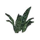 Grass