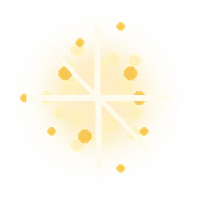 Star Dust